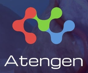 Atengen 